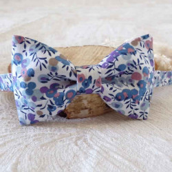 Nœud papillon liberty enfant